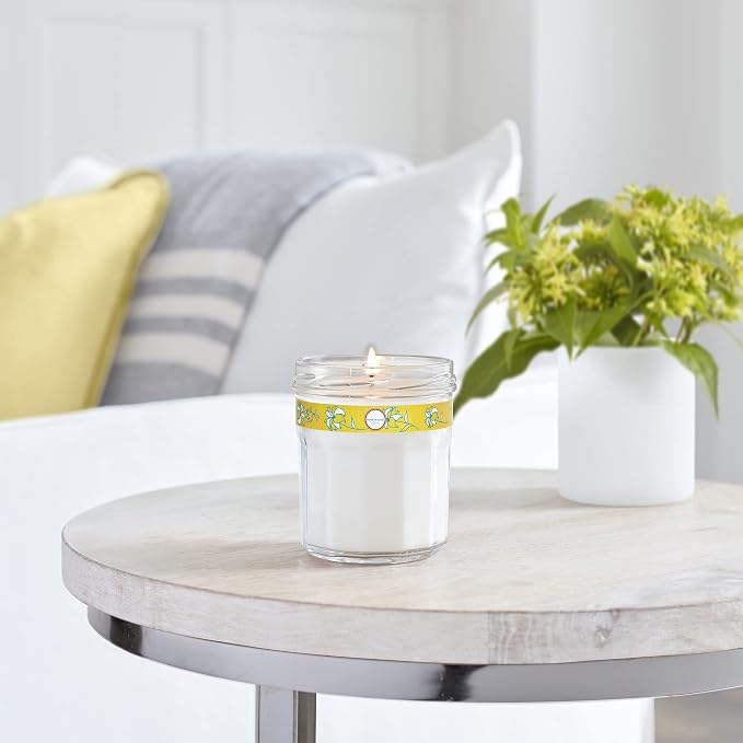 CLEAN DAY Soy Aromatherapy Candle,35 Hour Burn Time,Made with Soy Wax and Essential Oils,Honeysuckle,7.2 Oz,(Pack of 6)