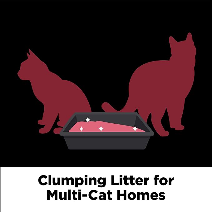 Clump & Seal Platinum Cat Litter, Multi-Cat, 14-Day Odor Control, Rock-Hard Clumps, 27.5 lbs – Powerful Odor Eliminator with