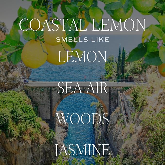 Coastal Lemon Scented Candles - Soy Candles with Lemon, Sea Salt, & Driftwood for Home Decor, alternate product view 5