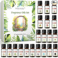 Coconut 20 Pcs Fragrance Oil Set, Premium Fragrance Oil, for Humidifier, DIY Candle & Soap Making Scent, Aromatherapy
