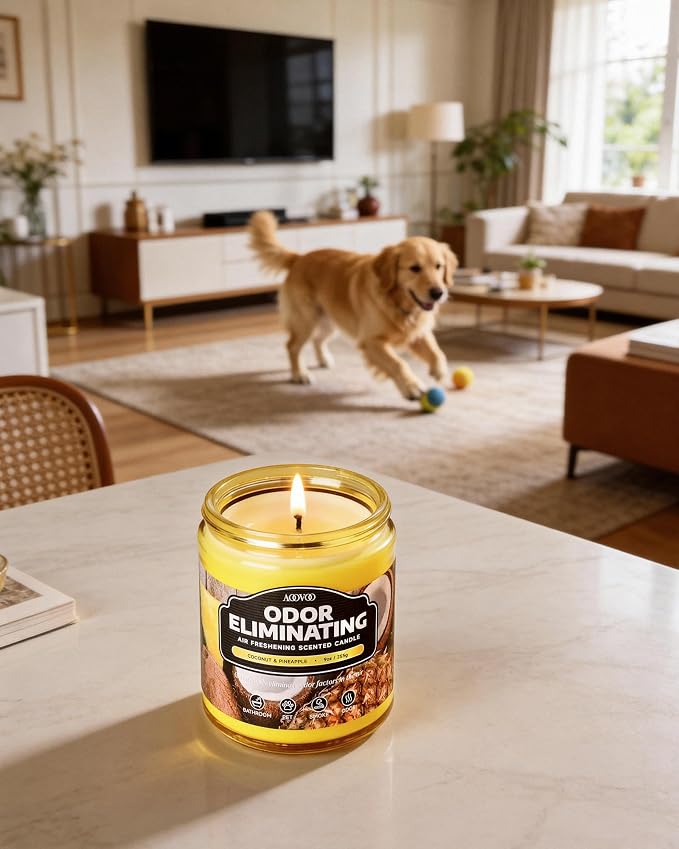 Coconut Pineapple Odor Eliminating Highly Fragranced Candle - Eliminates 95% of Pet, Smoke, Food, and Other Smells Quickly