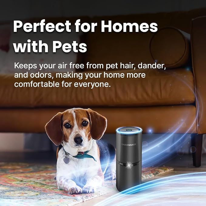Compact Air Purifier - Covers 250 Sq Ft - Ideal for Bedroom or Dorm Room - Silent HEPA Filter Captures Dust and Pollutants
