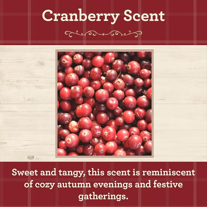 Cranberry Scented Mason Jar Candle, 100 Hour Burn Time, 13 Ounces, alternate product view 2