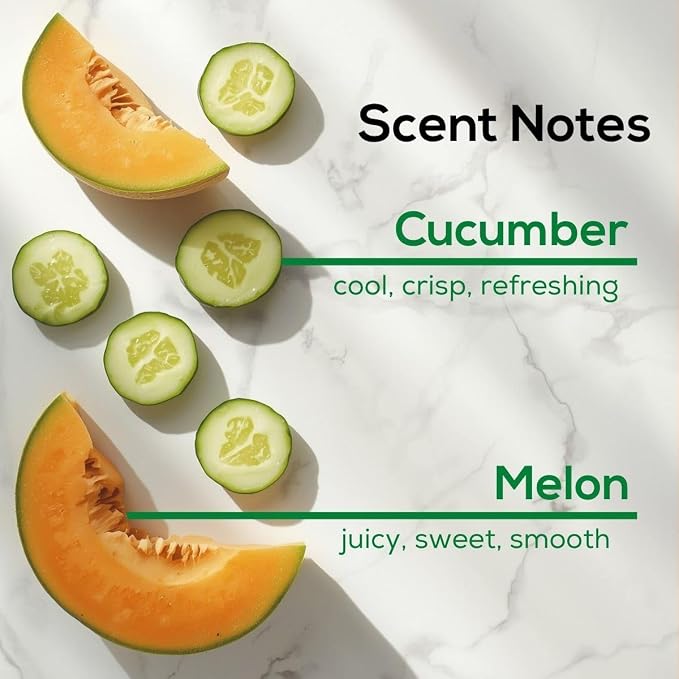 Cucumber Melon Plug in Air Freshener, Scented Oil Refills, 4 Refills, alternate product view 5