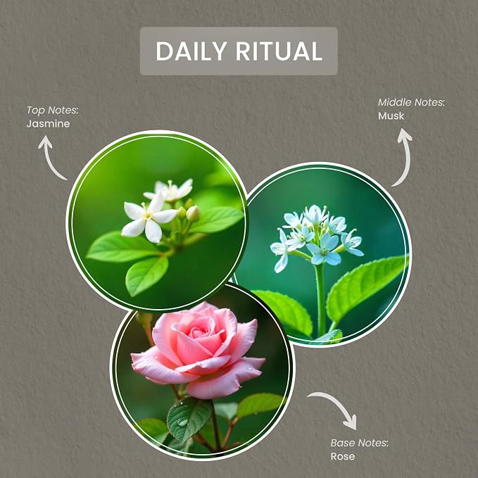 Daily Ritual Scented Candle, 16 oz Musk & Jasmine Scented, 2 Wick comfort Relaxing Candle, 60H Burn Time, alternate product