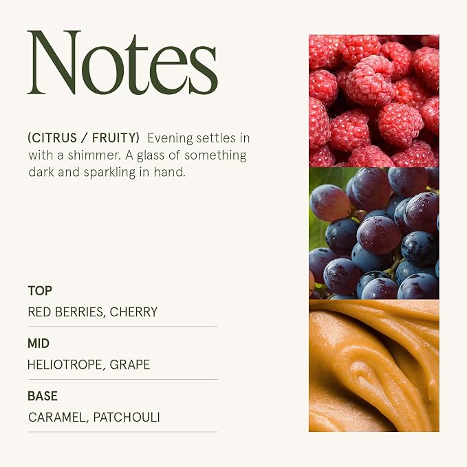 Dark Berries & Bergamot Candle - Berries, Grape, Caramel | 19 oz Large Wooden Wick Candle | Natural Soy Wax | 90 Hours Clean