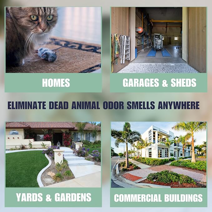 Dead Animal Odor Eliminator for Home - Removes Rodent & Mouse Smell in Wall, Attic, Crawlspace - Reusable Pouch, Pet Safe