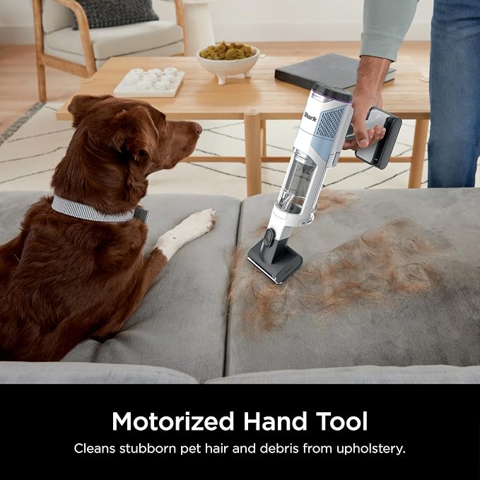 Detect Clean & Empty | Lightweight Cordless Vacuum Cleaner with Auto-Empty System | HEPA Filter, Portable Handheld