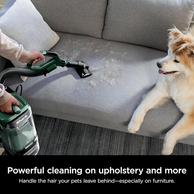Detect Pro Lift-Away ADV Bagless Upright Vacuum with DuoClean Detect, HEPA Filter, Anti-Allergen, Powerful, alternate view 3