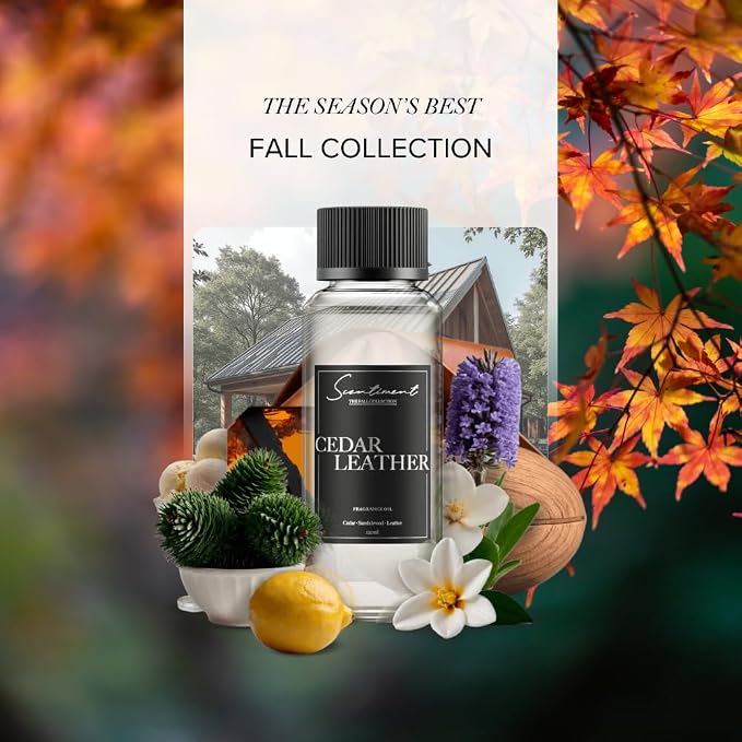 Diffuser Oil - Cedar Leather Fall Collection | Aromatherapy Home Fragrance | Luxurious Scent with Lemon, Jasmine Sandalwood