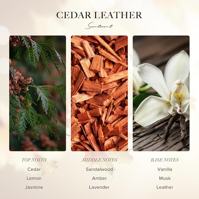 Diffuser Oil - Cedar Leather Fall Collection | Aromatherapy Home Fragrance | Luxurious Scent with Lemon, Jasmine Sandalwood