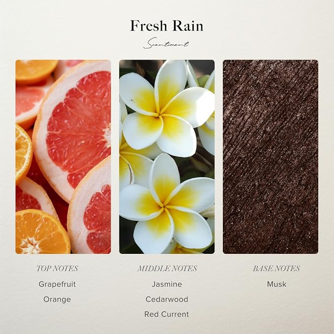 Diffuser Oil - Fresh Rain | Aromatherapy Home Fragrance |Inspired by Luxury Five Star Hotels | Luxurious Scent with Notes of