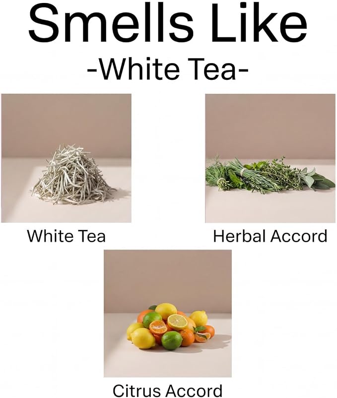 Diffuser Refill 120ml_White Tea_Floral Gardenia Scent Oil for Home, Hotel Air Essential Oils Scents, alternate product view 2