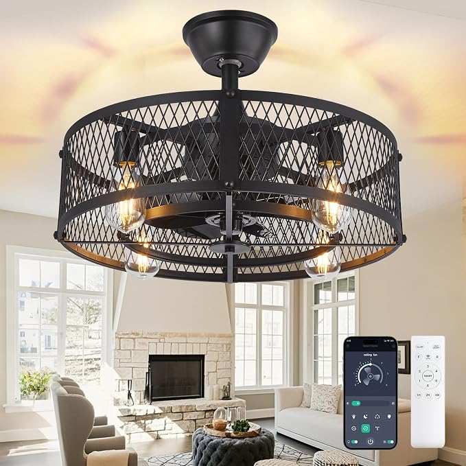 DLLT Caged Ceiling Fan with Light: 20" Farmhouse Fandelier with Lights and Remote & APP - Black Rustic Semi Flush Mount