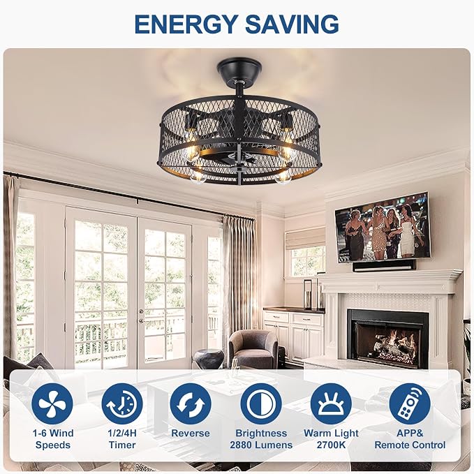 DLLT Caged Ceiling Fan with Light: 20" Farmhouse Fandelier with Lights and Remote & APP - Black Rustic Semi Flush Mount