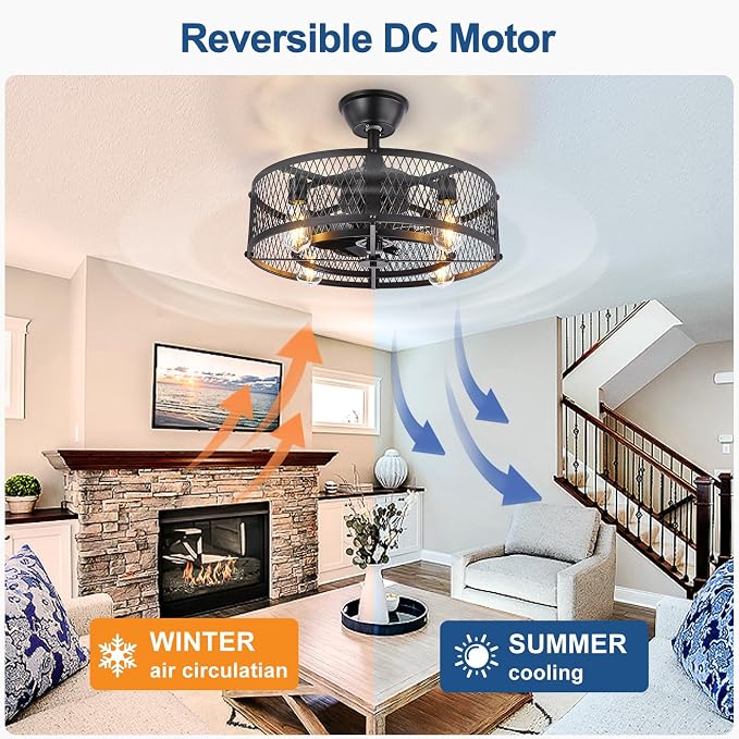 DLLT Caged Ceiling Fan with Light: 20" Farmhouse Fandelier with Lights and Remote & APP - Black Rustic Semi Flush Mount