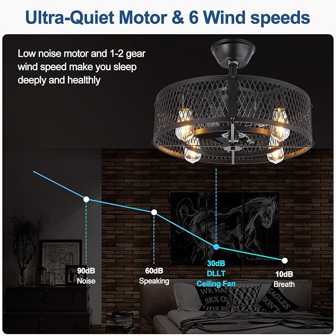 DLLT Caged Ceiling Fan with Light: 20" Farmhouse Fandelier with Lights and Remote & APP - Black Rustic Semi Flush Mount