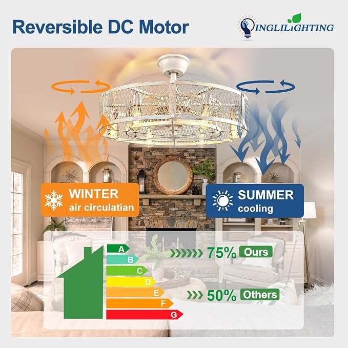 DLLT Caged Ceiling Fan with Lights: 26" Large Bladeless Fandelier with Light and Remote - Cement Industrial Chandelier Fan