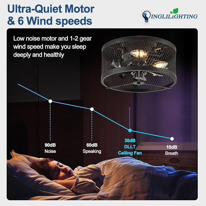 DLLT Caged Ceiling Fans with Light: 13" Small Outdoor Farmhouse Ceiling Fan with Remote App Control - Black Rustic Semi Flush