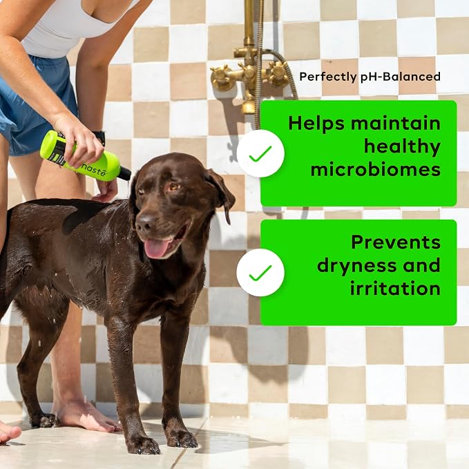Dog Shampoo and Pet Stain & Odor Eliminator Spray (16 Oz, Pack of 2) – USDA Certified Organic Aloe & Oatmeal Dog Shampoo