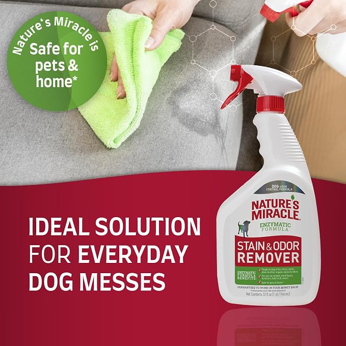 Dog Stain and Odor Remover, Everyday Mess Enzymatic Formula, 32 fl oz (Pack of 2), alternate product view 3