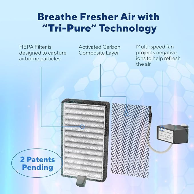 DSTx Portable Air Purifier - Plug In Air Ionizer HEPA Filter, Mini Personal Air Purifiers For, Bedroom and Pets Helps With