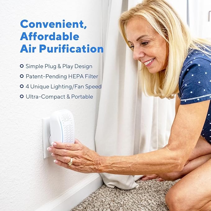 DSTx Portable Air Purifier - Plug In Air Ionizer HEPA Filter, Mini Personal Air Purifiers For, Bedroom and Pets Helps With
