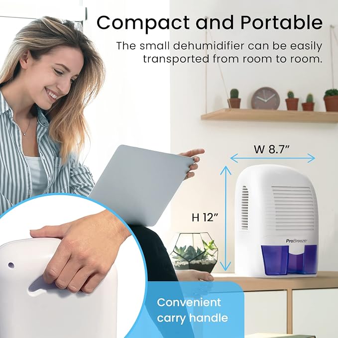 Electric Mini Dehumidifier, 2200 Cubic Feet (250 sq ft), Compact and Portable for High Humidity in Home, Kitchen, Bedroom