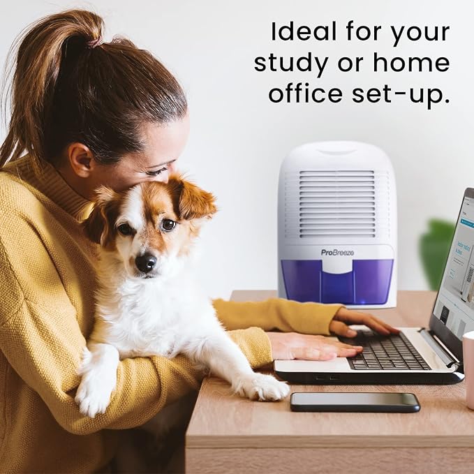 Electric Mini Dehumidifier, 2200 Cubic Feet (250 sq ft), Compact and Portable for High Humidity in Home, Kitchen, Bedroom