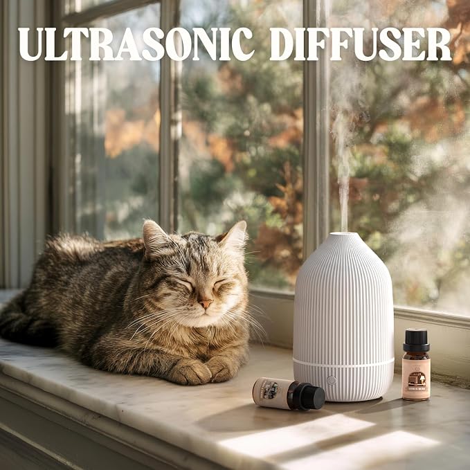 Essential Oil Diffuser, 2Pack, 100ml Aromatherapy Diffuser, Mini Ultrasonic Diffuser for Essential Oil, Home, Office