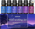 Essential Oils for Diffuser – 6 Mood Essential Oil Blends (Breathe, Uplift, Sensual, Balance, Unwind, Rest) for Morning to