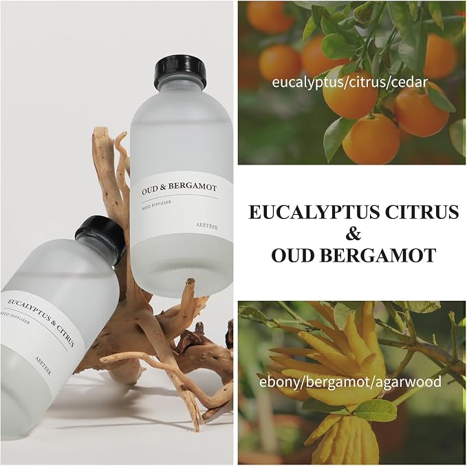 Eucalyptus Citrus & Oud Bergamot Reed Diffuser Set of 2, 14.8 oz(220mlx2) Scented Oils with Willow Branches Diffuser Sticks