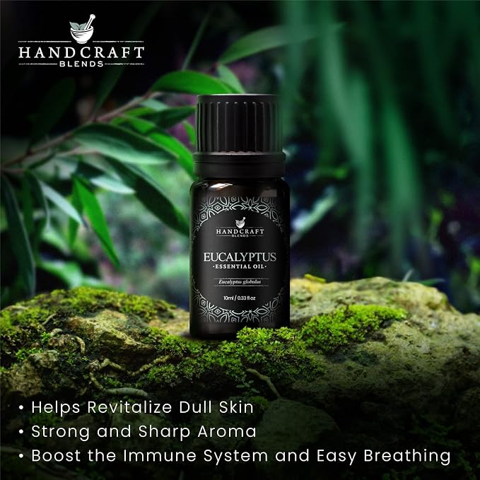 Eucalyptus Essential Oil – 0.33 Fl Oz – 100% Pure and Natural – Premium Grade Essential Oil for Diffuser and, alternate