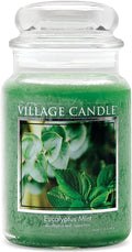 Eucalyptus Mint Large Glass Apothecary Jar Scented Candle, 21.25 oz, Green in Green.