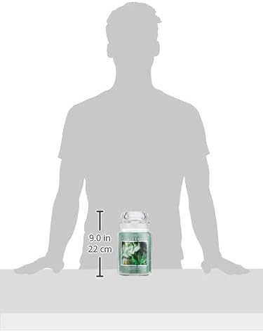 Eucalyptus Mint Large Glass Apothecary Jar Scented Candle, 21.25 oz, Green in Green., alternate view 3