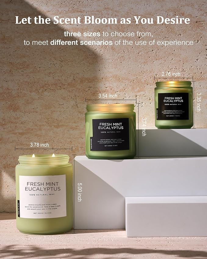 Eucalyptus & Mint Scented Jar Candle, Large 19.4oz Natural Soy Wax, 110-Hour Long Lasting made from natural materials
