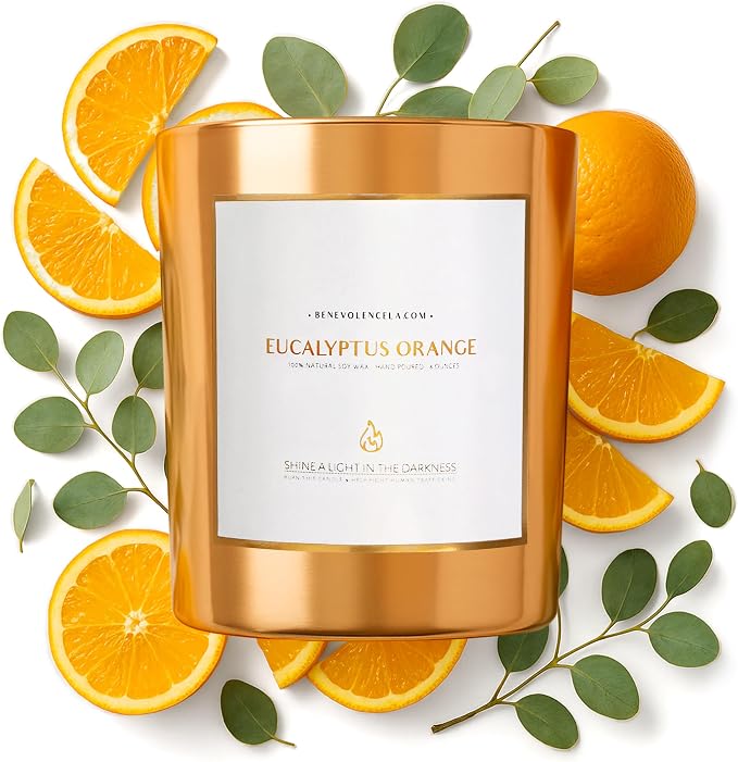 Eucalyptus Orange Wood Wick Candles | Soy Christmas Scented Candles for Home | Holiday Candle Gifts for Women and Men | Home