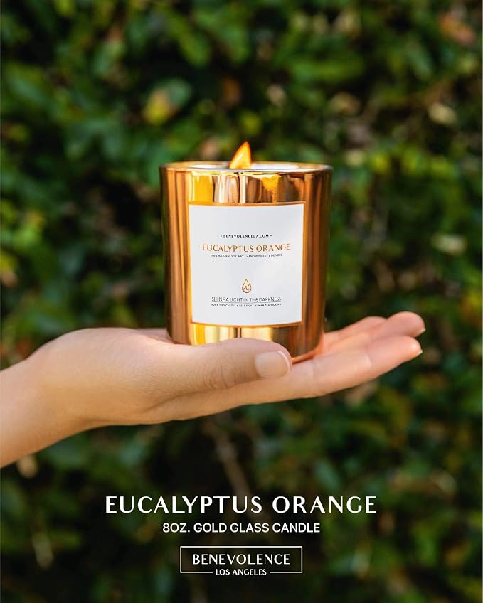 Eucalyptus Orange Wood Wick Candles | Soy Christmas Scented Candles for Home | Holiday Candle Gifts for Women and Men | Home