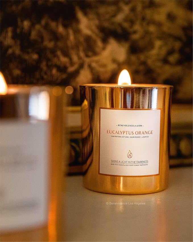 Eucalyptus Orange Wood Wick Candles | Soy Christmas Scented Candles for Home | Holiday Candle Gifts for Women and Men | Home