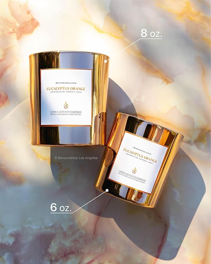 Eucalyptus Orange Wood Wick Candles | Soy Christmas Scented Candles for Home | Holiday Candle Gifts for Women and Men | Home