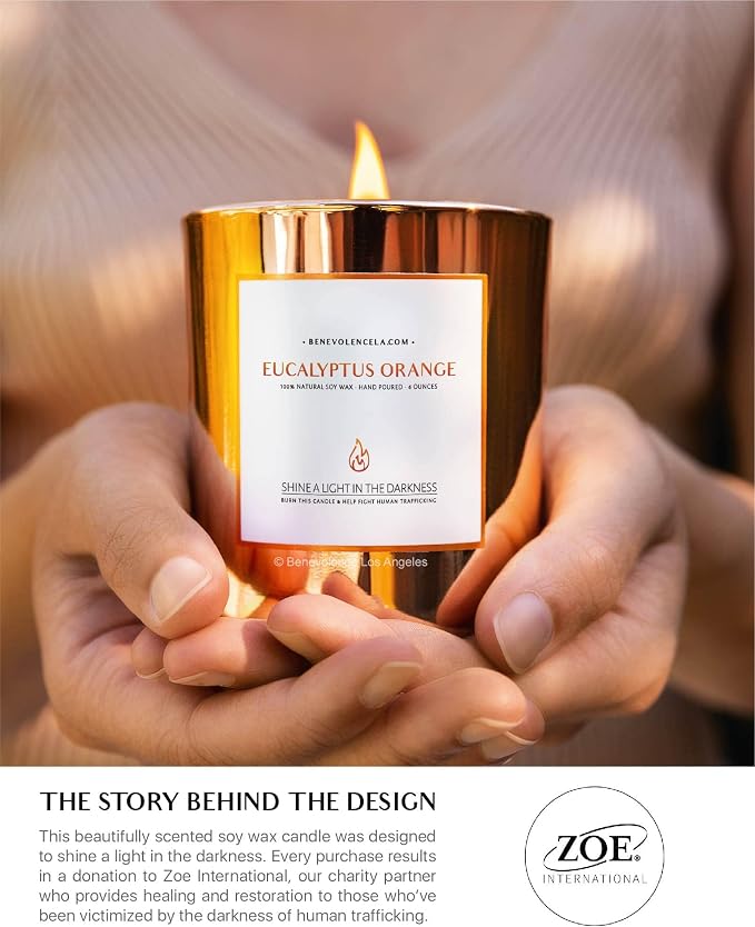 Eucalyptus Orange Wood Wick Candles | Soy Christmas Scented Candles for Home | Holiday Candle Gifts for Women and Men | Home