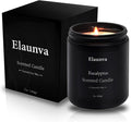 Eucalyptus Scented Candle 7oz (200g), Natural Soy Wax Aromatherapy, Spring Fresh Home Scent, Stress Relief, product image