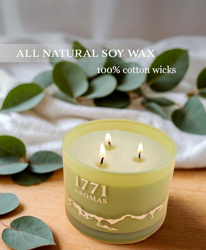 Eucalyptus Scented Candles - 100% Natural Soy Wax - Large 3 Wick Jar Candle - Up to 50 Hours Burning Time - Candles for Home