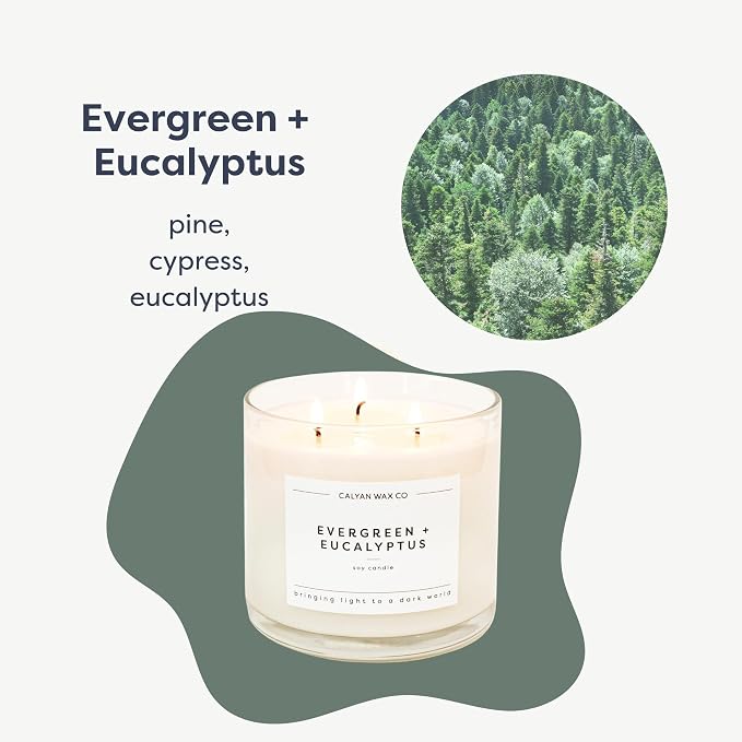 . Evergreen & Eucalyptus 3 Wick Scented Candle - 43 Hour Burn - Luxury 3 Wick Soy Candles, alternate product view 2