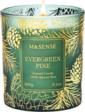 Evergreen Pine Vegan Soy Candles, 8.1oz 42-Hour Slow Burning made from natural materials, product image