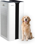 Extra large Air Purifier for home large room, covers 4000 ft2, H13 True HEPA Filter, Filters Dust, Smoke, product image