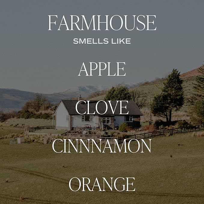 Farmhouse Amber Reed Diffuser Set | Apple, Orange, Pumpkin, Fall Scented Reed Diffusers | Housewarming Gifts | Air, alternate