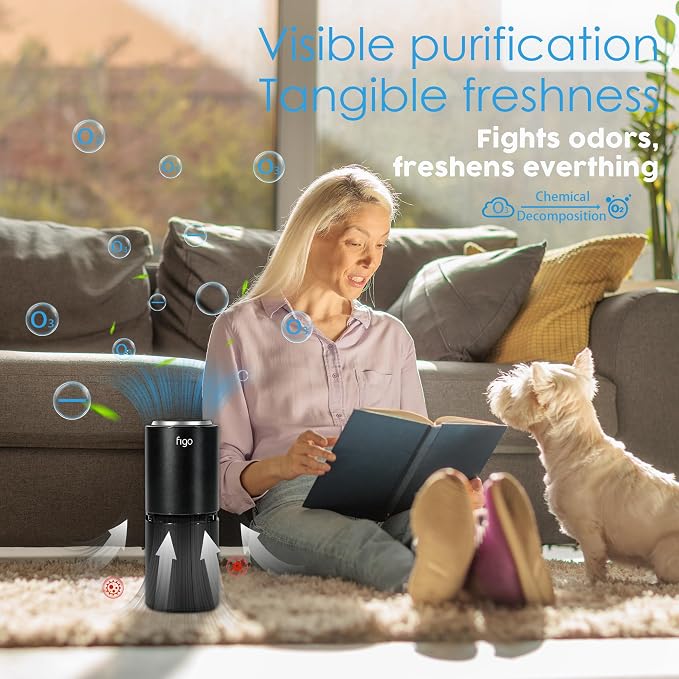 Figo 8th Gen Ionic Air Purifier, Filter-Free Compact Air Cleaner for Home & Car, alternate product view 4