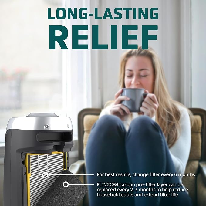 Filter B HEPA Pure Genuine Air Purifier Filter, Removes Pollutants, Wildfire Smoke, Odors, for AC4825, AC4300, alternate