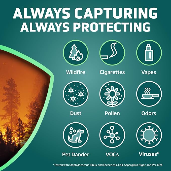 Filter C Smoke Clear HEPA Genuine Air Purifier Filter, for Wildfire Smoke, Odors, alternate product view 2